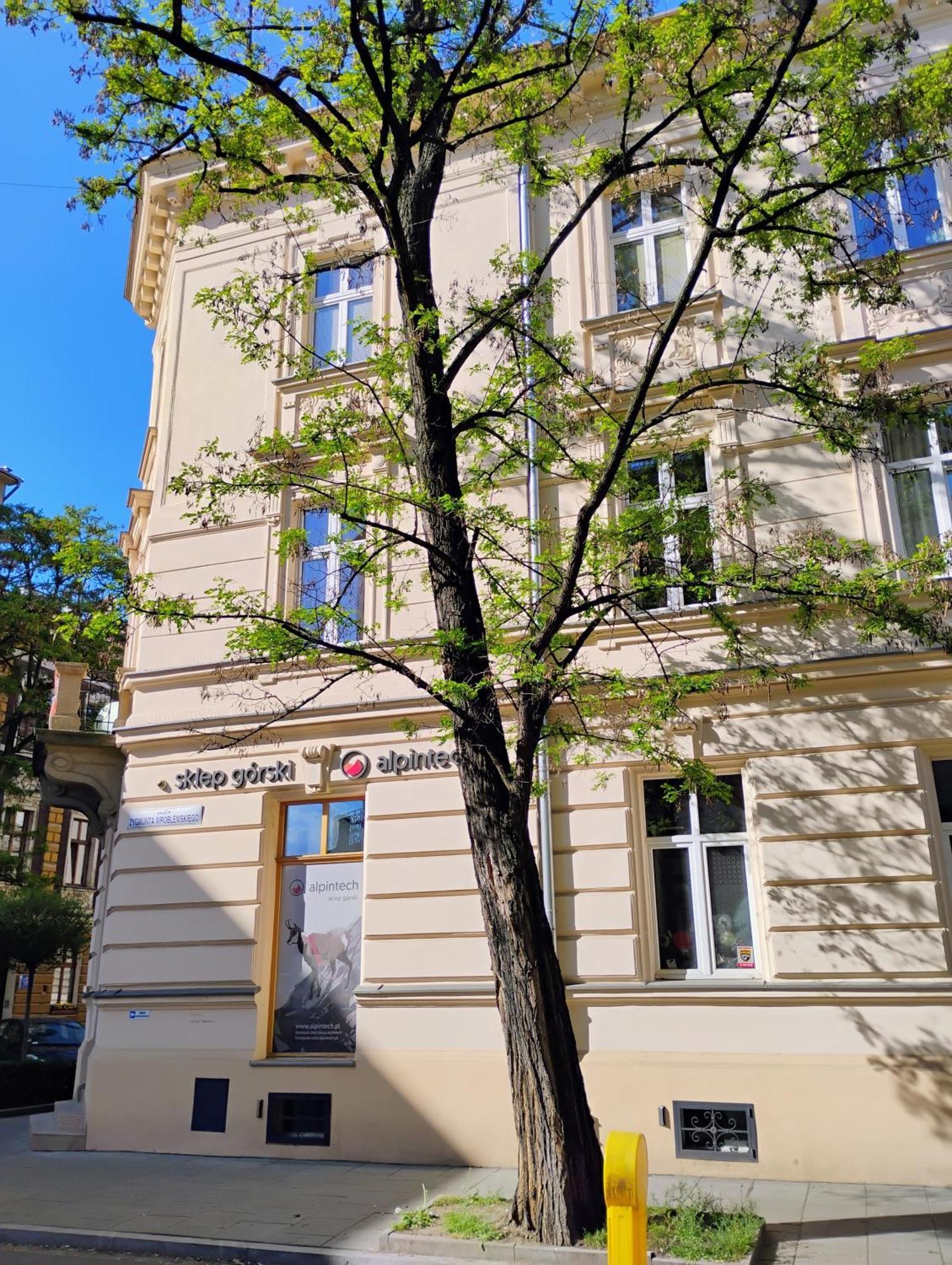 Apartament Rozy Краков Экстерьер фото